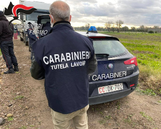 Fermo - Controlli dei carabinieri nelle aziende agricole: tre denunce